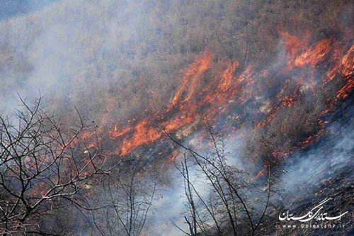 شعله‎های آتش پارک ملی گلستان با مدیریت جهادگران خاموش شد