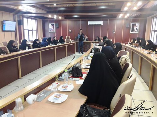 جامعه ایمن بدون نقش‌آفرینی زنان امکان‌پذیر نیست/ برگزاری دوره آموزشی بانوان در استانداری گلستان