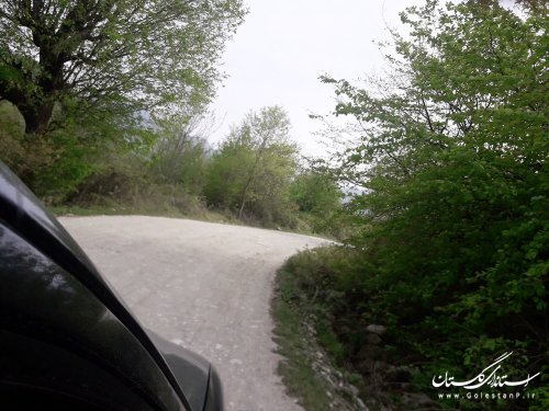تصاویر از بازدید همکاران مدیریت بحران استان از مناطق جنگلی شموشک