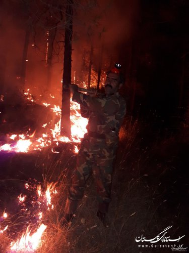 مهار آتش‌سوزی جنگل‌های سوزنی برگ کلاله