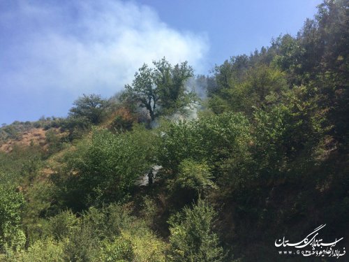 آتش‌سوزی منطقه جنگلی «حسینا» شهرستان مینودشت مهار شد