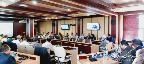 تشکیل کمیته های فنی ذیل سند راهبردی ملی مدیریت بحران